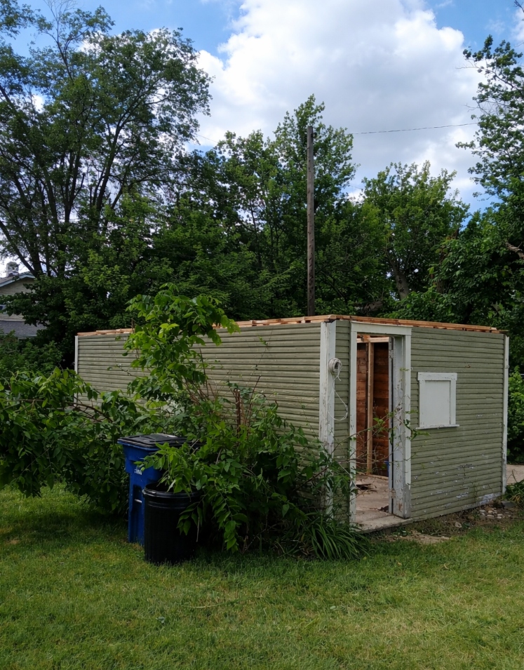 Shed repair project - before (roof removed)